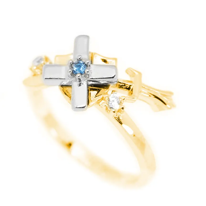 Paladin Ring | Bisoulovely