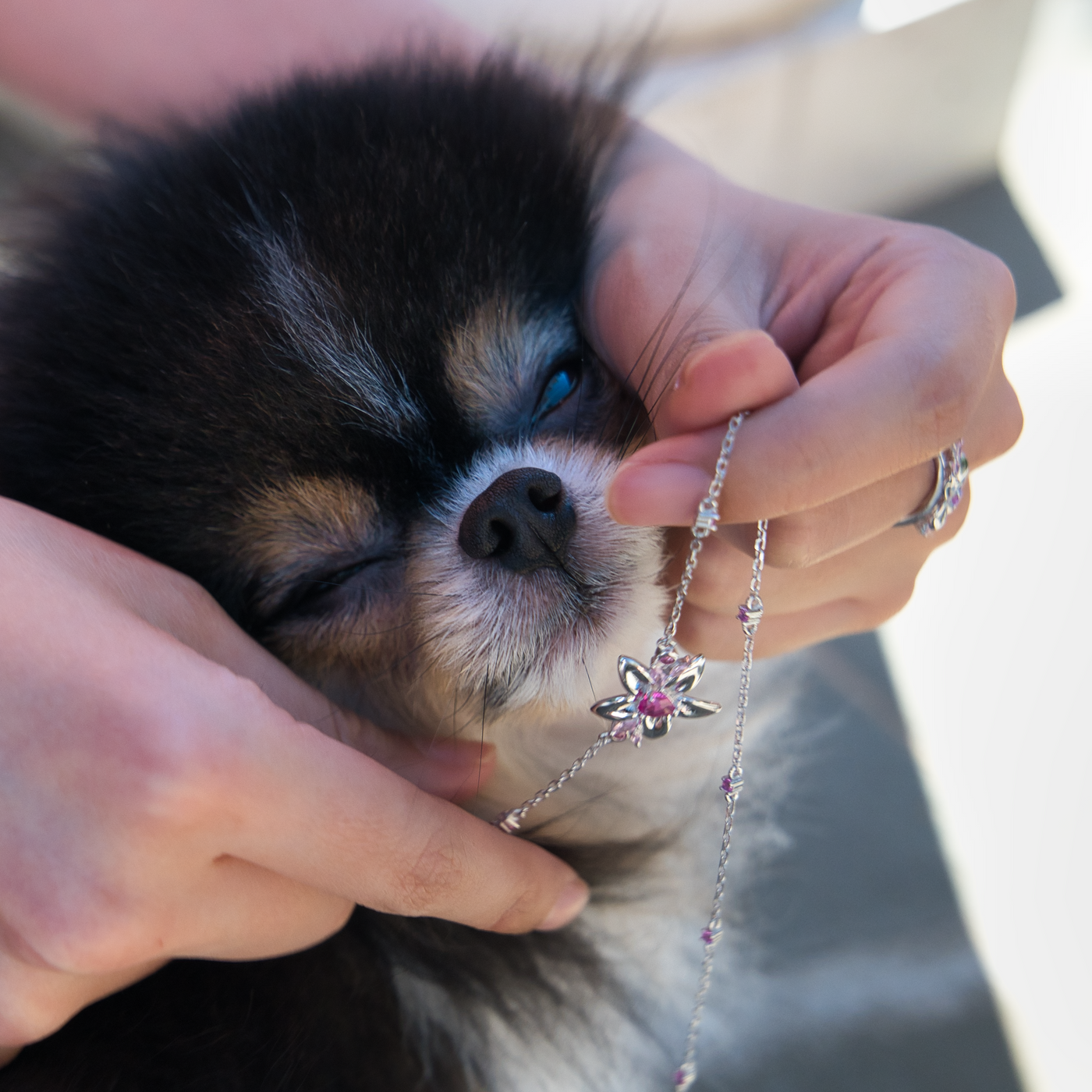 Preorder: Lilypichu Necklace - Necklace - 3